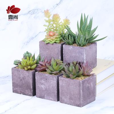 China Minimalist ES1140-1 High Quality Artificial Succulent Plants Set With Glass Pots In Wooden Tray Succulents For Home Decor for sale