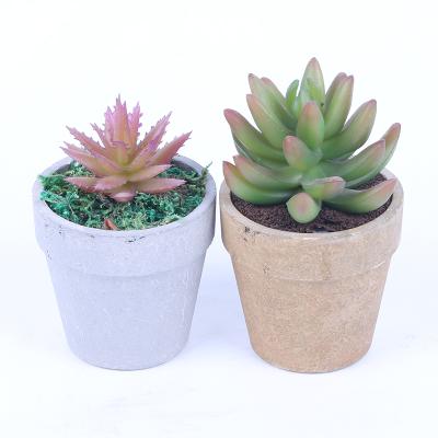 China Minimalist ES1146-1 High Quality Artificial Succulent Plants Set With Glass Pots In Wooden Tray Succulents For Home Decor for sale