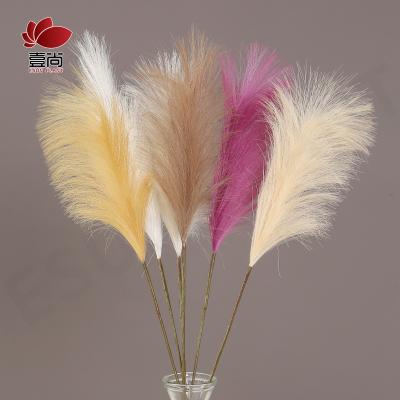 China Eco-Friendly Artificial Pampas Grass, Faux Reed Feathers Reed Feathers for Home Decor Wedding Party Bouquet -26.37 in Large for sale