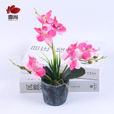 China ES1172-1 Minimalist Butterfly Orchid Artificial Flower with Cement Pot for Home Decor for sale