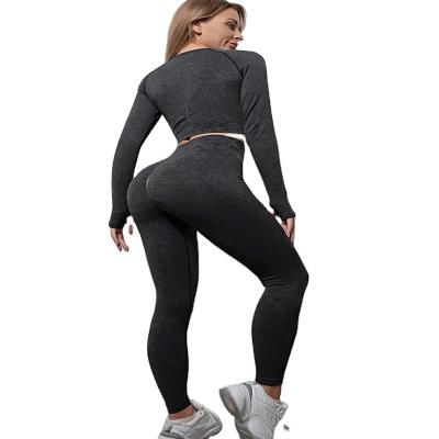 China New Style 2pcs Women Yoga Workout Set Gym Sportswear Breathable Seamless Fitness Clothing High Waist Leggings Long Sleeve Top Crop Sports for sale