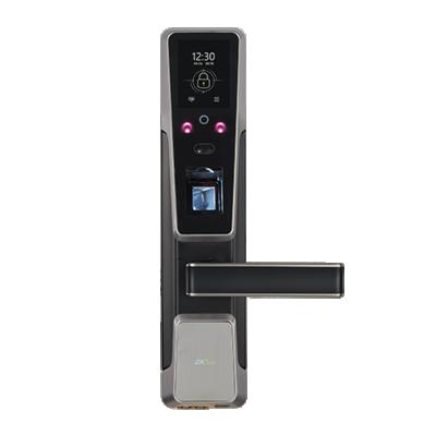 China 2021 Hot Popular Home Office Facial Recognition Apartment Hotel Door Lock Security And Convenience Smart Door Lock (ZM100) for sale