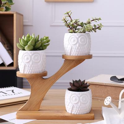 China Wholesale CLASSIC Ceramic Owl White Ceramic Pots Good Quality Plant Pots Succulent Planter for sale