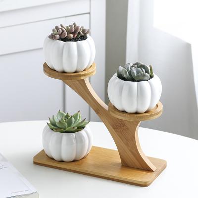 China CLASSIC Succulent Planter Pot Ceramic Flower Pots Planters Set Home Decor With Bamboo Stand for sale