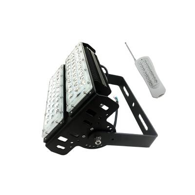 China Theme Park High Power Floodlight Flood Light 100w Waterproof Led RGB Flood Light With Remote Control for sale