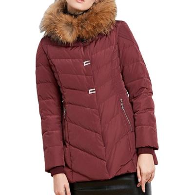 China High quality custom made winter new design women's breathable jacket thin down jacket was short paragraph thin down jacket for sale