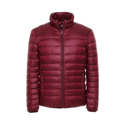 China Factory direct sale high quality men's winter waterproof white duck down jacket for sale