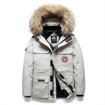 China Hot Selling High Quality Hot Waterproof Custom Design Women Plus Size Down Jacket for sale