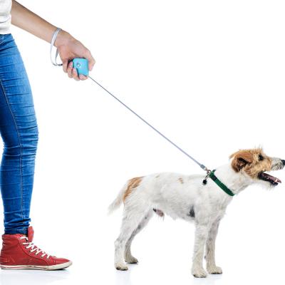 China Auto Telescopic Pull Rope Minimum Stored Dog Leash for sale