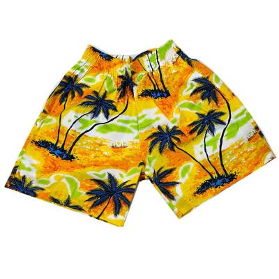 China Logo Solid Plain Men Swim Customized Plus Size Quick Dry Trunks Outdoor Beach Shorts Board Shorts Swimwear For Men for sale