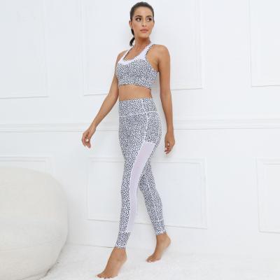 China Wholesale Breathable Training Suit Women Fitness Compression Gym Top Set Seamless Yoga Suit for sale