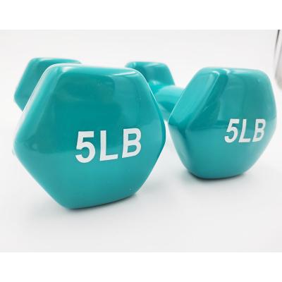 China HY6003 For Sale Neoprene Vinyl Dipping Hex Cast Dumbbell Gym Fitness Dumbbells for sale