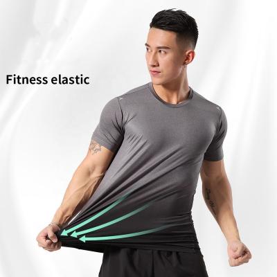 China Anti-Wrinkle Gym Wear Mens Fitness White Plus Size T-shirt Custom Mens T-Shirts for sale