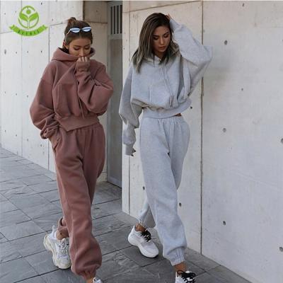 China OEM Breathable Custom Logo Tracksuits Gym Wear Casual Pullover Hoodie And Jogger Women 2 Piece Sets Workout for sale