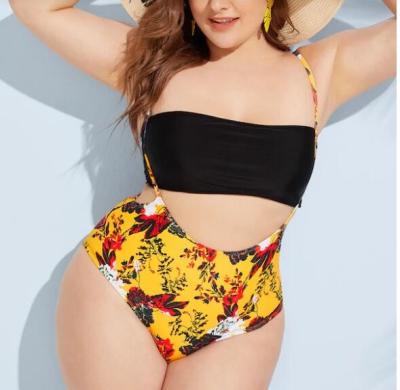 China 2019 New Plus SizeTwo piece   Woman's swimwear Push up for sale