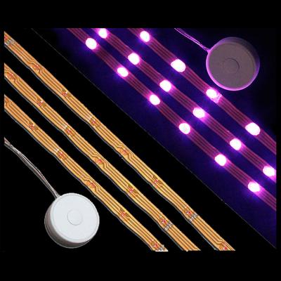 China Sewable decorative battery operated led strip light led battery light for sale