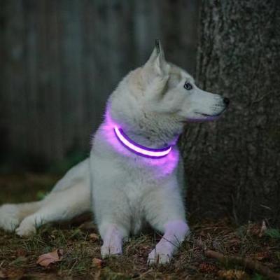 China Durable Reflective Nylon Pet Collars For Dog Adjustable Led Flashing Dog Collar for sale