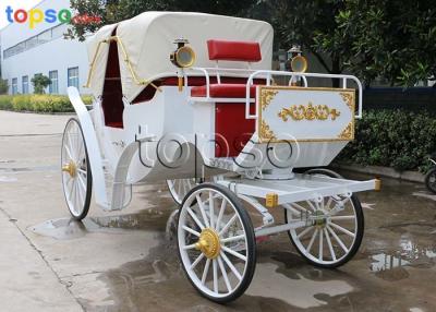 China Sightseeing Cinderella Horse Carriage Steel Resin Texitile Rubber Materials for sale