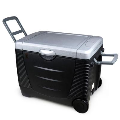 China HDPE 45L DC 12 Volt Portable Cool Box RV Fridge Car Outdoor Fridge EVERCOOL for sale