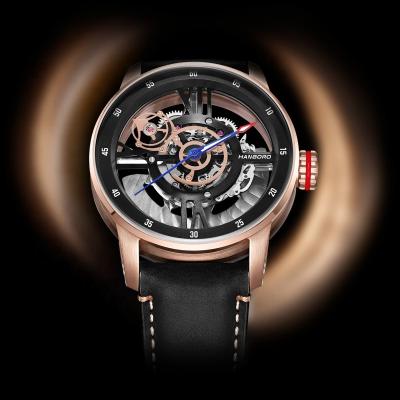 China SANYIN Luxury Logo Men Mechanical Watches Custom Made Luxury Skeleton Automatic for sale