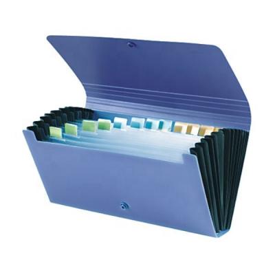 China Classification Label Paper Comix A4 Size 13 Layers PP Expanding Folder With Classification Labels for sale