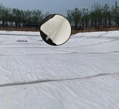 China Non Woven Fabric Composite Geomembrane Traffic Tunnel Construction Isolation for sale