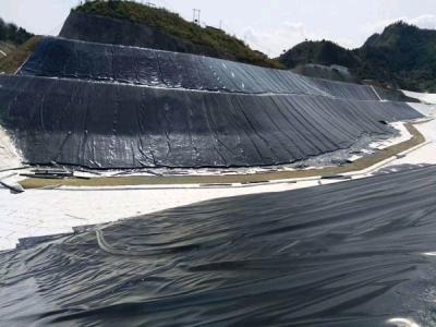 Chine décharge d'exploitation de pisciculture du film ISO9001 de PVC Geomembrane de 1.5mm 2mm Plastik à vendre