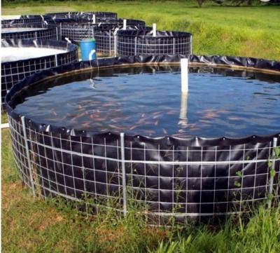 Chine Épaisseur extérieure douce 0.2~3mm de revêtement de PVC Geomembrane pour l'alimentation de poissons de crevette à vendre