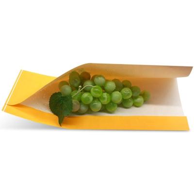 China Disposable Wholesale Custom New Arrivals Supplier Eco Friendly Food Grade Protective Kraft Paper Bag Grape Fruit Packaging for sale