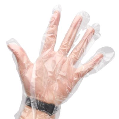 China Customized Size Disposable Plastic Gloves for Kitchen Food Handling Winter Essential for sale