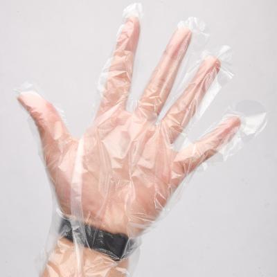 China Medium Thickness HDPE Gloves for Leak Free Food Grade Disposable Cleaning Vinyl Glove for sale