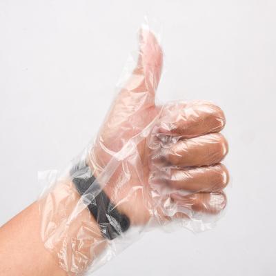 China Food Handling Occasion Selection PE Plastic HDPE Disposable Gloves in Transparent for sale