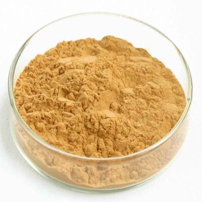 China Cheap Price Proportional Herbal Extract Leaf Powder Ginkgo Biloba Extract 10 Tons / Month for sale