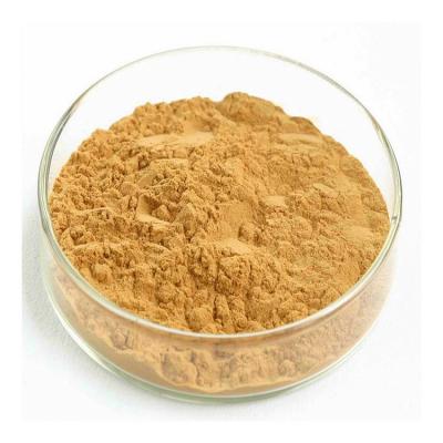 China Wholesale/Month Proportional Herbal Extract Powder Natural Ginkgo Biloba Extract 10 Tons for sale