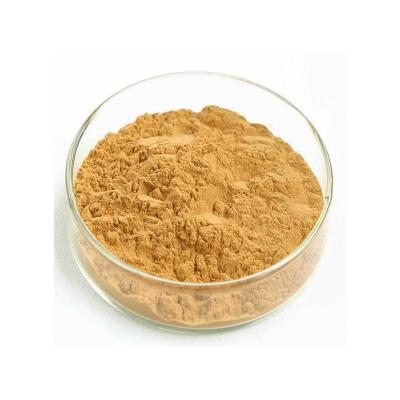 China High Grade Proportional Herbal Extract Leaf Powder Ginkgo Biloba Extract 10 Tons/Month for sale