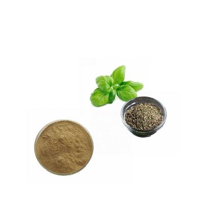 China Best Selling High Grade Proportional Herbal Extract Powder Dried Basil Leaves 10 Tons / Month for sale