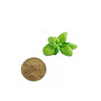 China Newest Hot Sale Proportional Herbal Extract Holy Basil Leaves Leaf Extract 10 Tons/Month for sale