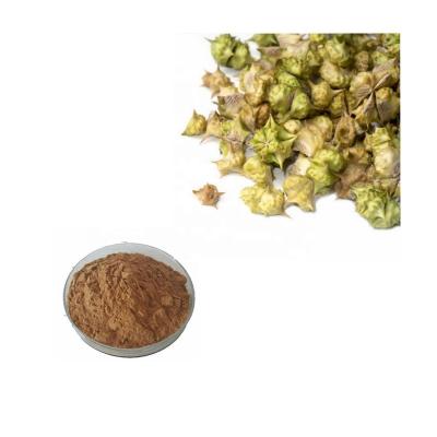 China Chinese herbal medicine Tribulus Terrestris extract) (Tribuloside 20%-98%/>60% Protodioscin 10 tons/month for sale