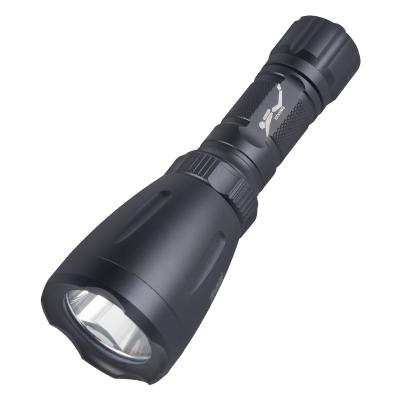 China Industrial High Quality 100% Waterproof Lighting IP68 Lantern Sealed LED Torch Light 8 