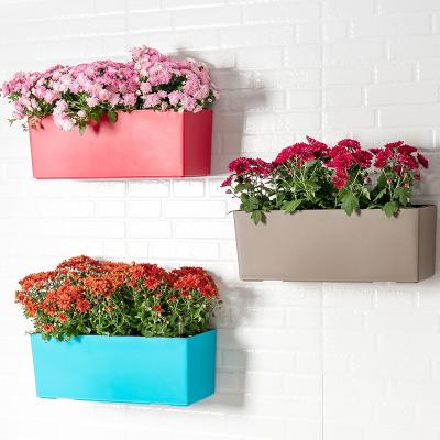 China Contemporary Cheap Colorful Plant Flower Pot Wall Hanging Plastic Plant Pot for sale