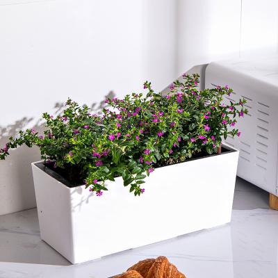 China Contemporary Unique Plastic Home Garden Decorative Indoor Individual Garden Plant Sample Flower Pot Sample Watering Pot Maker for sale