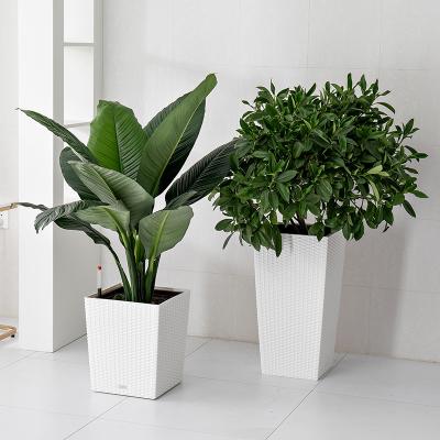 China Home Garden Decoration Contemporary Rattan Yizhitang Floor Planter Stand Self Watering Plant Plastic Flower Pot for sale