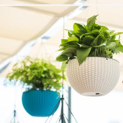 China Contemporary Plastic Hanging Flowerpot Basket Self Watering Plant Flower Pot for sale