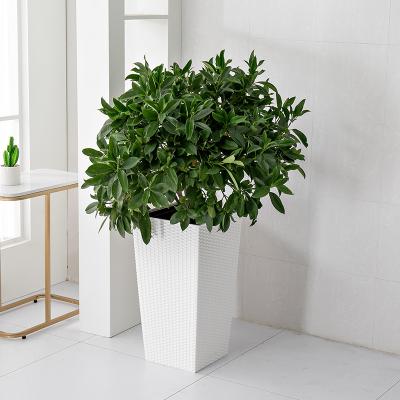 China Contemporary Rattan Material Floor Putting Cheap Garden Home Decoration Self Watering Bonsai Plant Plastic Flower Pot for sale