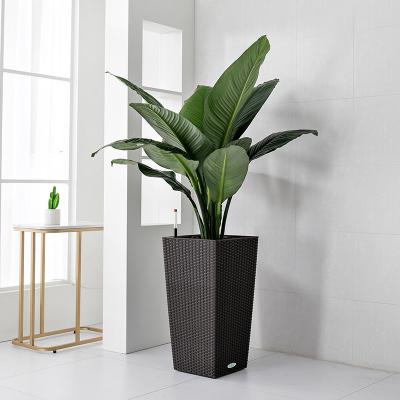 China Contemporary Large Size Plastic Self Watering Plastic Plant Planter Pot Bonsai Rattan Pot Garden Plastic Flower Pots for sale