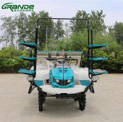 China Paddy field similar 6 rows rice paddy farm kubota uplift type high speed uplifter 6 rows transplanter with factory wholesale price for sale