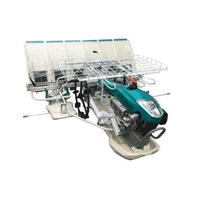 China rice transplanter walk-behind CHINA 6 rows wholesale price rice transplanter for sale