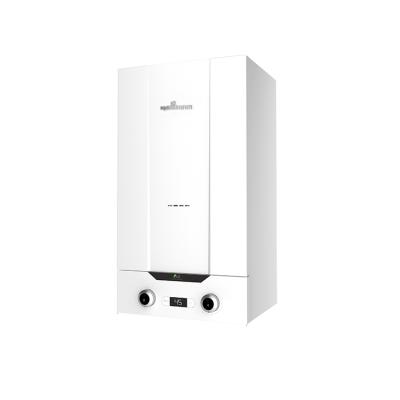 China High Quality Hotel China Brand Nature Gas Boiler Price For Heating And Domestic Hot Water for sale