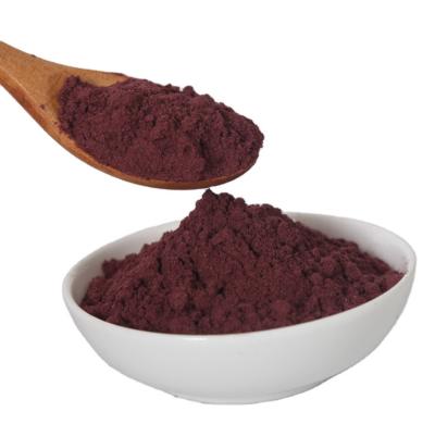 China Hot Sale Manufacturer Supply Dried Blueberry Powder Fruit Powder with Cheap Price for sale