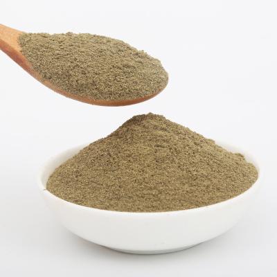 China Dry Extract Spice/Basil Leaves Extract/Basil Spices Natural Holy Powder for sale